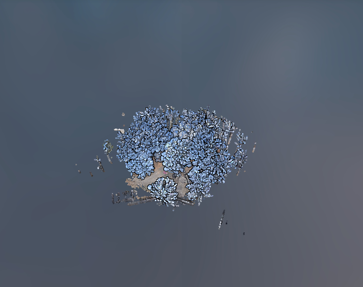 Tersus House Scan related point cloud sample data for Building
